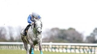 【次走】リフレイムはダービー卿CTへ向かう　近走は直線で外に膨らむも連勝中