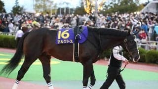 【次走】アルクトスは川田将雅騎手との新コンビでゴドルフィンマイルへ