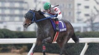 【名古屋・若草賞結果】高知のアンティキティラが人気に応えて重賞連勝