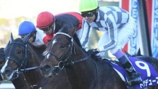 【弥生賞ディープ記念予想オッズ】2歳王者ドウデュースが予想1番人気