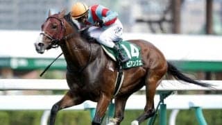 【オーシャンS予想オッズ】重賞3勝馬ビアンフェが予想1番人気