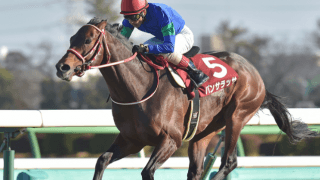 種牡馬ランキング1位の勢いそのまま ロードカナロア産駒が両重賞制覇