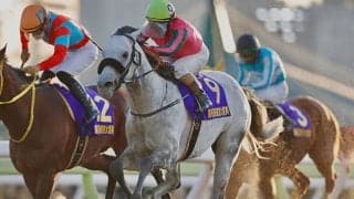 東京大賞典は1億円、帝王賞は8000万円に増額など　令和4年度南関東重賞の賞金等が決定