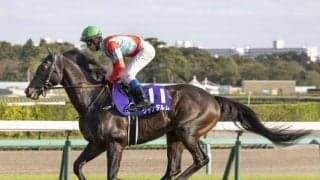 【オーシャンS展望】高松宮記念へのステップレース、好走の条件とは
