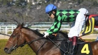 【次走】すみれS覇者ポッドボレットは青葉賞か京都新聞杯へ