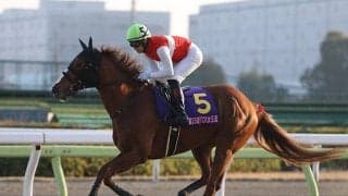 【エンプレス杯 14時時点オッズ】ショウナンナデシコが単勝2.4倍の1番人気　サルサディオーネ、レーヌブランシュと続く