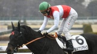 【次走】5億円ホース・ショウナンアデイブは池添騎手で若葉Sへ
