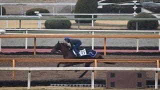 ルビーカサブランカ、中山牝馬S1週前追い切り速報/栗東トレセンニュース