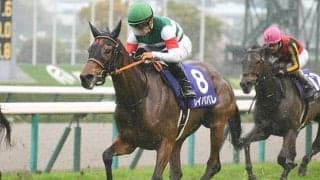 【金鯱賞想定】レイパパレ、アカイイト、ジャックドールなど14頭