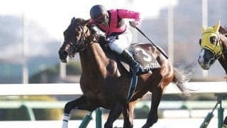 今年の弥生賞は割り切って穴を狙うべし!? AIが指名した“オッズが魅力的な伏兵馬”とは？