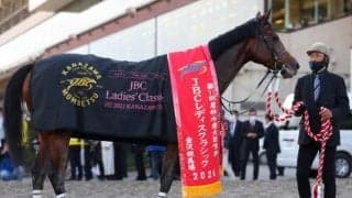 【JRA】テオレーマが引退、繁殖馬に　昨年のJBCレディスクラシック覇者