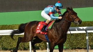 オーソリティ、ステイフーリッシュなど　サウジカップデー出走の日本馬7頭がドバイへ到着