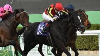 ソングライン、ダンシングプリンスなど　サウジ遠征・日本馬5頭が帰国