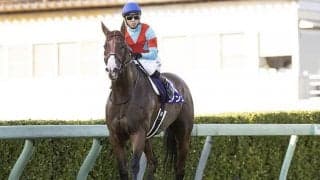 【オーシャンS想定騎手】ビアンフェは藤岡佑介騎手、ナランフレグは丸田恭介騎手