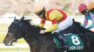 【弥生賞ディープ記念展望】皐月賞とは異なりスローペースになりやすいトライアル