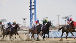 【エンプレス杯】岩田望「小回りは良くないのかも」レース後ジョッキーコメント