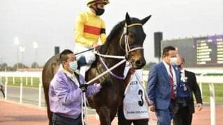 【次走】コパノキッキングはビュイック騎手でドバイゴールデンシャヒーンへ