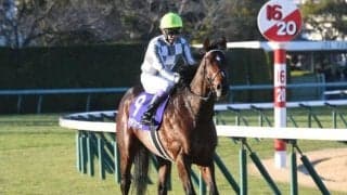 【弥生賞ディープ記念出走馬・騎手確定】ドウデュース＆武豊騎手、マテンロウレオ＆横山典弘騎手など11頭