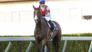 【オーシャンS出走馬・騎手確定】ビアンフェ＆藤岡佑介騎手、ナランフレグ＆丸田恭介騎手など15頭