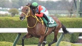 【名古屋大賞典出走予定馬】当地最後の重賞にクリンチャー、アナザートゥルースら