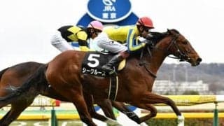 堅い決着が多いチューリップ賞だが、今の馬場なら浮上が見込めるヒモ穴馬が２頭いる