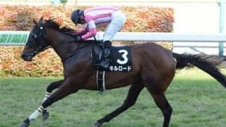 オーシャンＳに面白いメンバーが集結。激しい先行争いの直後に構える人気薄馬に一発の期待