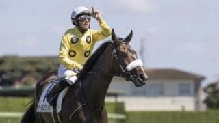 【チューリップ賞枠順確定】サークルオブライフは2枠3番、ナミュールは4枠6番