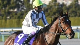 【弥生賞ディープ記念枠順確定】ドウデュースは6枠7番、マテンロウレオは5枠5番