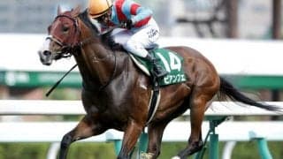 【オーシャンS枠順確定】ビアンフェは8枠14番、スマートクラージュは2枠2番