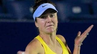 スイトリナ「戦い抜いた」