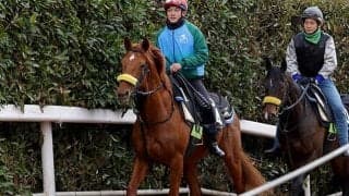【JRA】今週デビューを迎える新人騎手の騎乗馬一覧　今村聖奈騎手は10鞍、大久保友雅騎手は6鞍など　