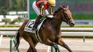 【チューリップ賞予想】阪神JFでの枠番がポイント!? 巻き返しに必要な条件とは…