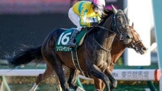 【次走】ソリストサンダーがゴドルフィンマイルへの招待を受諾