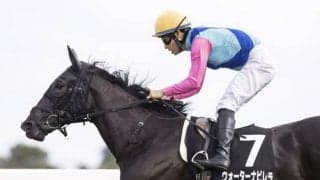 【チューリップ賞予想】過去10年で桜花賞に繋がっている最重要ステップレース