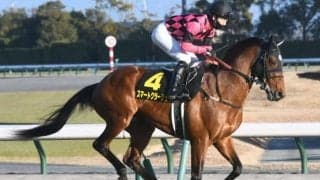 【オーシャンS予想】同じ距離でも高松宮記念とは求められるモノが違う一戦 