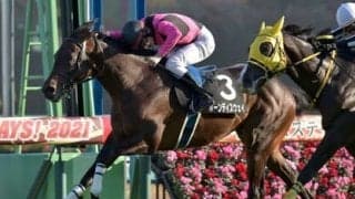 今年絶好調の「過去データ」。弥生賞でも２歳王者を脅かす穴馬候補を４頭導き出した