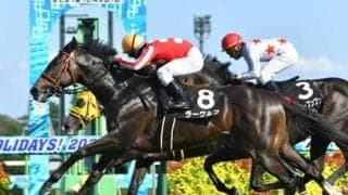 弥生賞は血統から「中山・芝2000ｍ」の適性を見る。サウジカップ開催で２勝した旬の血統にも期待