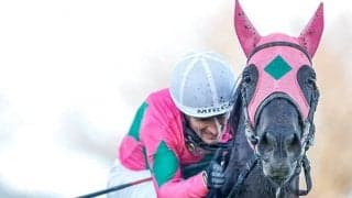 【中山牝馬S想定】ターコイズS覇者ミスニューヨーク、愛知杯覇者ルビーカサブランカなど17頭