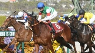 【チューリップ賞結果】1番人気ナミュールがV　2着に大穴ピンハイ激走、馬連563倍の波乱