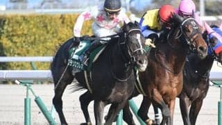 【弥生賞予想】反動は大丈夫!? 詰まった間隔「あの人気馬」に一抹の不安