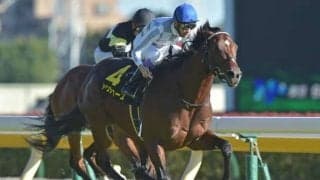 【WIN5予想】弥生賞は臨戦過程と血統が重要なポイント