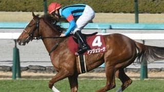 【チューリップ賞】競走中止のアンジェリーナは前肢跛行