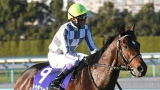 【弥生賞】ドウデュース陣営「仕上げにぬかりはないです」/ねぇさんのトレセン密着