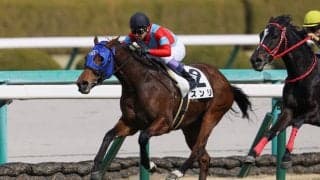 【阪神8R】武豊 スンリが逃げ切り！ハナ差凌ぐ