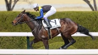 【阪神6R】武豊 ノットゥルノが連勝