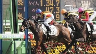 【中山8R】良血レーヴドゥラプレリが2勝目