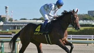 【弥生賞予想】素質馬集うクラシックへ向けた若駒たちの注目の一戦