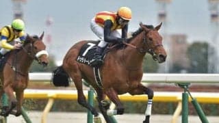 軽い調教で圧巻の２連勝。陣営も「この馬は走る」と唸ったドゥラドーレスのポテンシャル