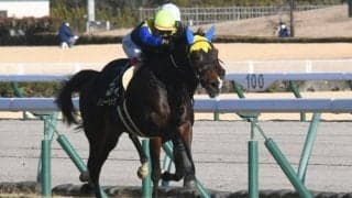 【弥生賞予想】弥生賞は、1番人気より2番人気が買い？ 「馬番11番以内の8枠馬」も成績バツグン！