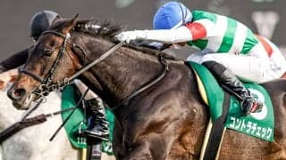 【JRA】中山重賞3勝のコントラチェックが引退、ノーザンファームで繁殖入り